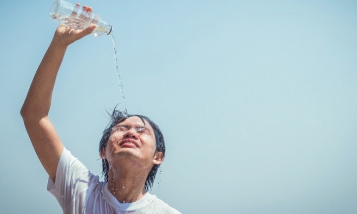 Canicule : les conseils à suivre !!! 
