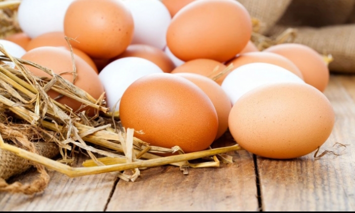 تجاوز أزمة البيض في هذا التاريخ