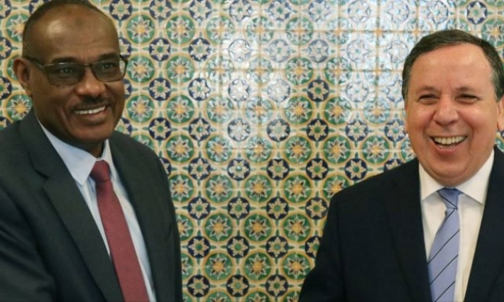 وزير الخارجية يبحث مع نظيره السوداني جدول أعمال القمة العربية والتعاون الثنائي 
