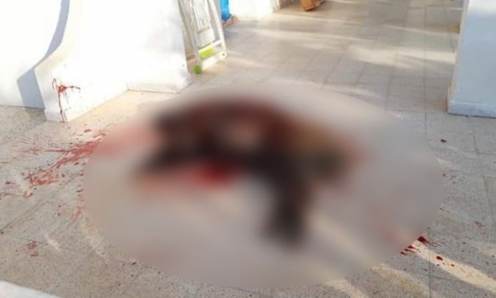 جرجيس: القضاء على خنزير بري هاجم إحدى المنازل في المنطقة