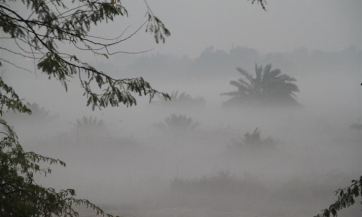 الرصد الجوي يحذر من ضباب كثيف بهذه المناطق