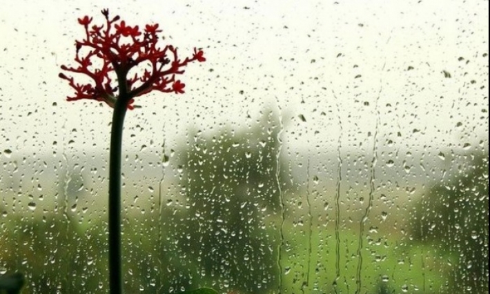 Météo : Des pluies isolées et temporairement orageuses 