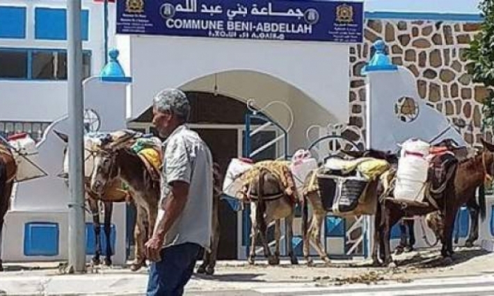 مغاربة يربطون الحمير أمام مقر المعتمدية احتجاجا على انقطاع الماء 