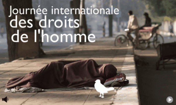 La journée mondiale des droits de l'homme 