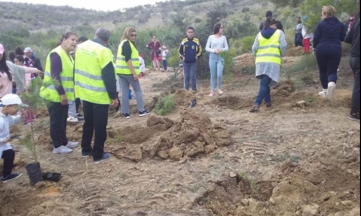 أريانة: عملية نموذجية لتشجير المساحات المحروقة بمنتزه النحلي