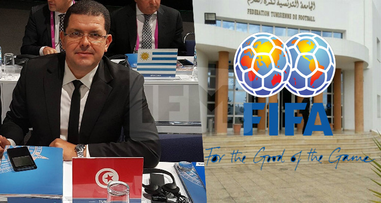حامد المغربي