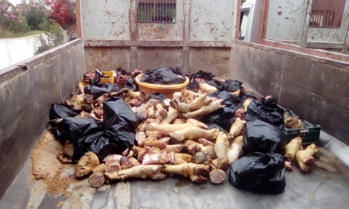 القيروان: حجز شاحنة محملة بكمية فاسدة من رؤوس وأرجل وأحشاء المواشي 