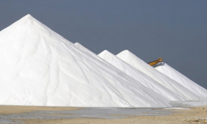 يوسف الشاهد يقرر عدم تمديد اتفاقية الملح