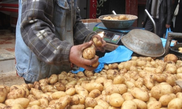 الديوان التونسي للتجارة يوضح بخصوص البطاطا الموردة من تركيا 