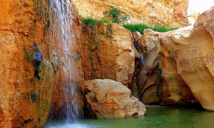 توزر: توقعات بتوافد ما بين 7 آلاف و8 آلاف سائح خلال عطلة الشتاء من السياحة الداخلية