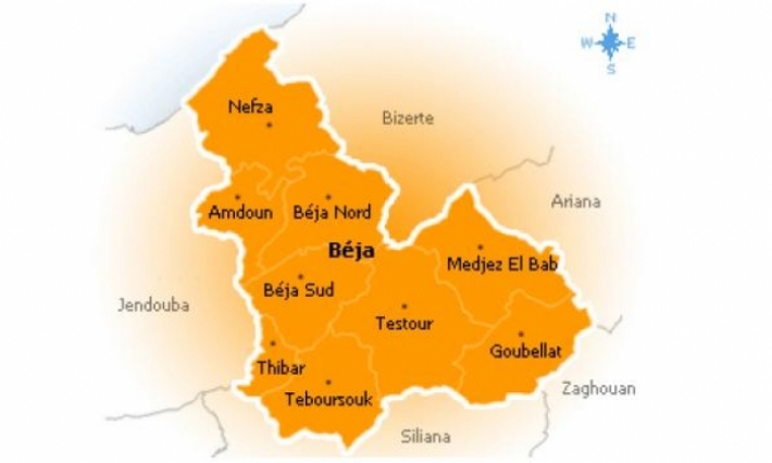    مصنع الخميرة بباجة مهدد بالغلق 