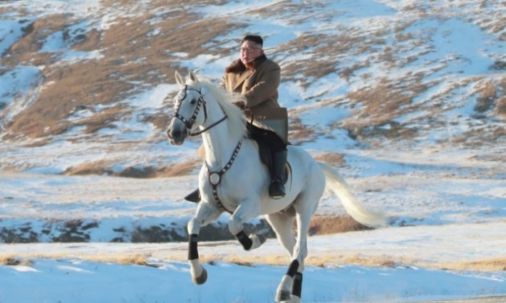 كوريا الشمالية تنفق مئات آلاف الدولارات لشراء أحصنة بيضاء لكيم من روسيا