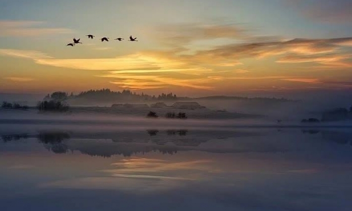 مدنين: فريق تعداد الطيور المائية المهاجرة يحصي 50 ألف طائر مائي مهاجر في الجهة