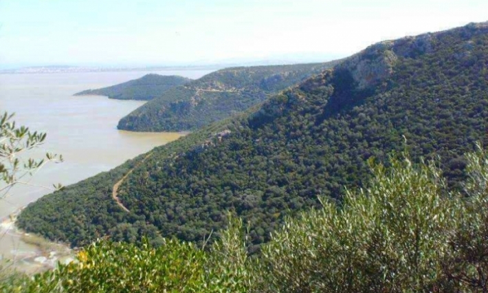 بنزرت: انطلاق الإعداد لملف تسجيل مدينة تينجة في اتفاقية "رامسار" للأراضي الرطبة