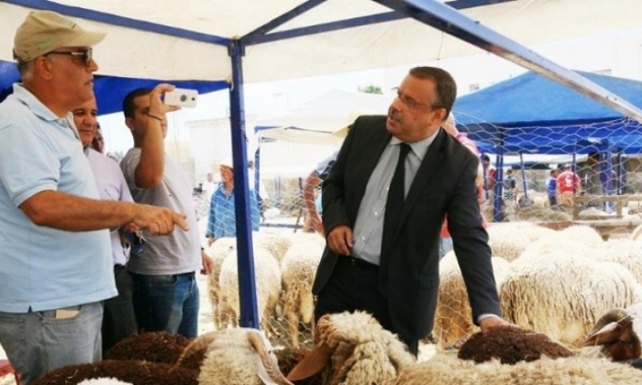 سمير الطيب: مليون و500 ألف رأس غنم متوفرة لعيد الأضحى والأسعار لا تختلف عن السنة المنقضية