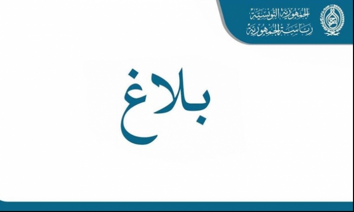 رئيس الجمهورية يكلف صبري باشطبجي بتمثيله في قمة الإتحاد الإفريقي بأديس أبابا