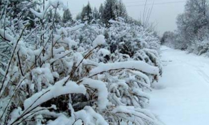 طقس بارد مع تساقط الثلوج بالمرتفعات الغربية