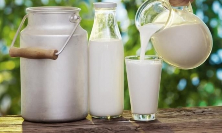 سيدي بوزيد: تراجع كميات الحليب المجمّعة والمصنّعة بنسبة 11 بالمائة