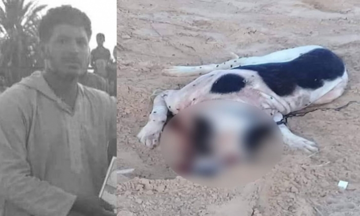 قبلي: مواطن في العقد الرابع يفقد حياته نتيجة هجوم من أحد الكلاب السائبة في الفوار