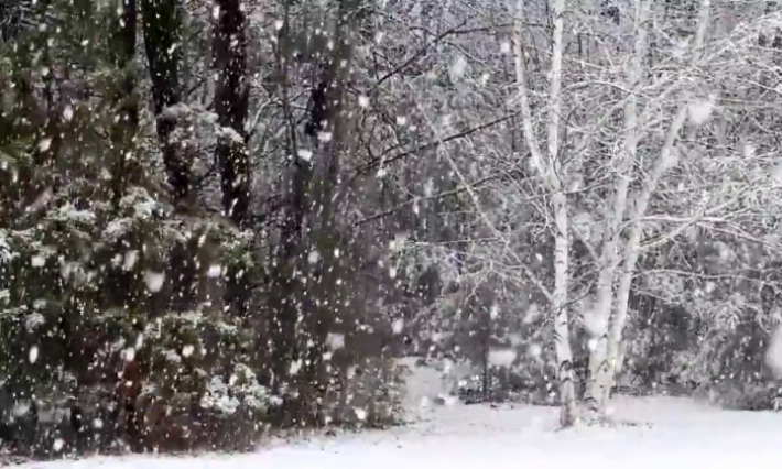 انخفاض ملحوظ في درجات الحرارة وتساقط للثلوج بهذه الجهات