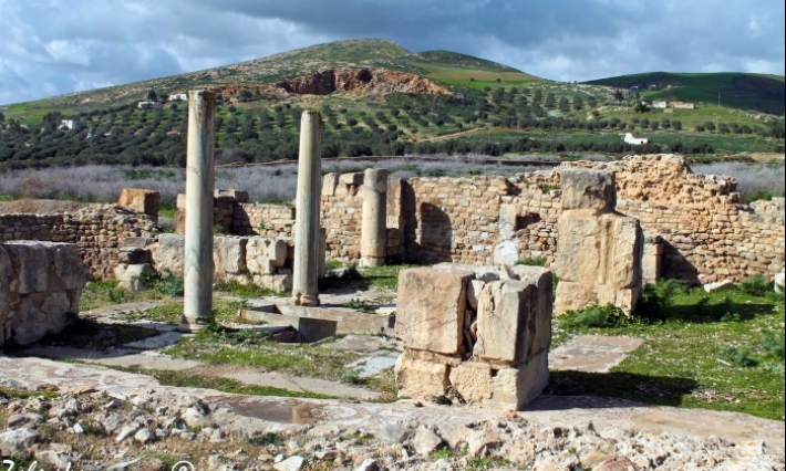 جندوبة: مدير الموقع الأثري في بلاريجيا يحذّر من تداعيات تسرب المياه الجوفية الى عدد من مكونات الموقع