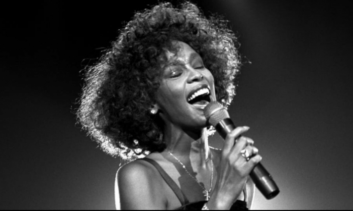 ويتني هيوستن في جولة فنية جديدة