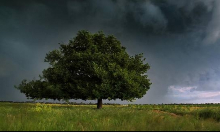 التقلبات الجوية: وزارة الفلاحة تحذر الفلاحين