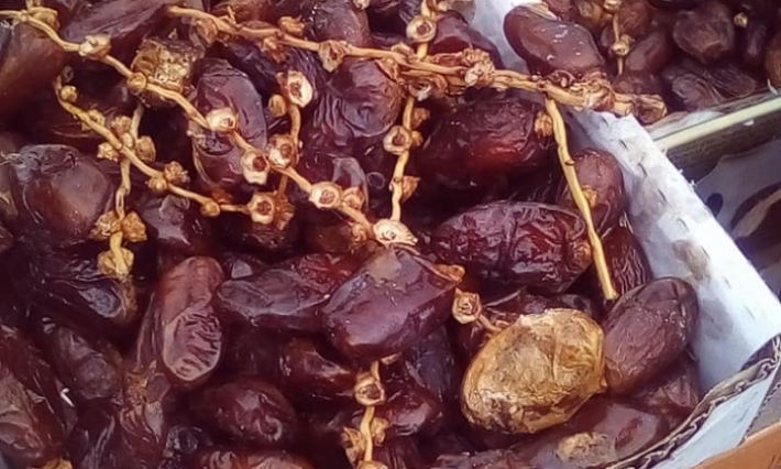 حجز 32 طنا من التمور الفاسدة في منطقة سيدي ثابت