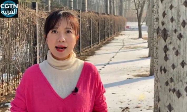 قناة تلفزيوينة صينية تواجه كورونا بالشعر العربي