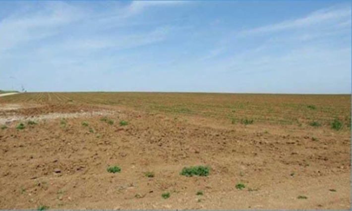 بنزرت: تخصيص 144 هك من الأراضي الدولية لتوزيعها على حاملي الشهائد العليا والراغبين في الاستثمار