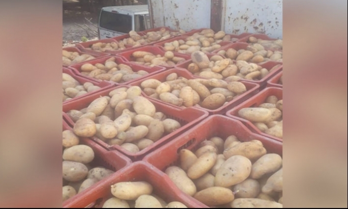 بنزرت: حجز 6 أطنان من البطاطا و1754علبة سجائر