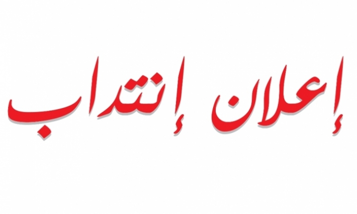 الهايكا تنتدب