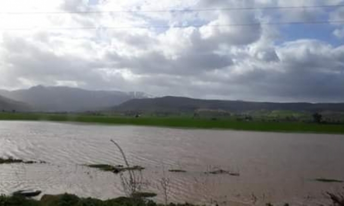 جندوبة: مياه الفيضانات تجتاح الأراضي الزراعية وفلاحون يطالبون باستكمال جهر وادي مجردة وجبر الأضرار التي لحقتهم