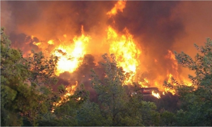    القصرين : نشوب حريق بالمنطقة العسكرية المغلقة بجبل بسمامة 