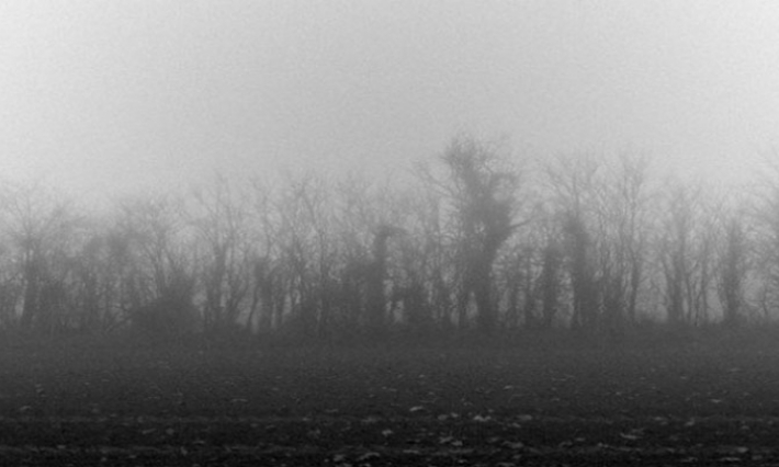 ضباب كثيف في هذه المناطق ورياح قوية