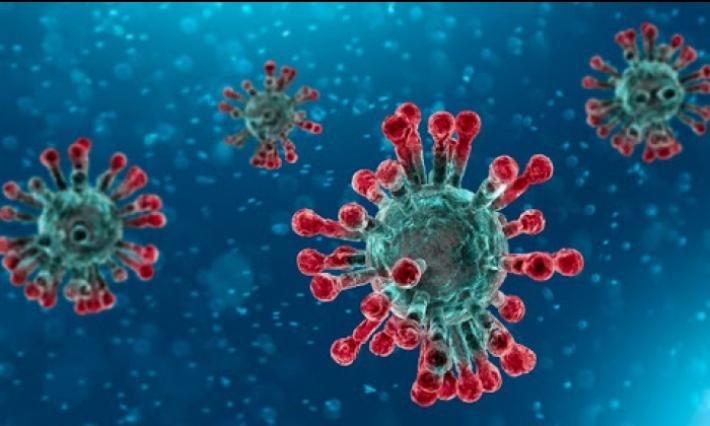 Coronavirus : 20 cas confirmés en Tunisie