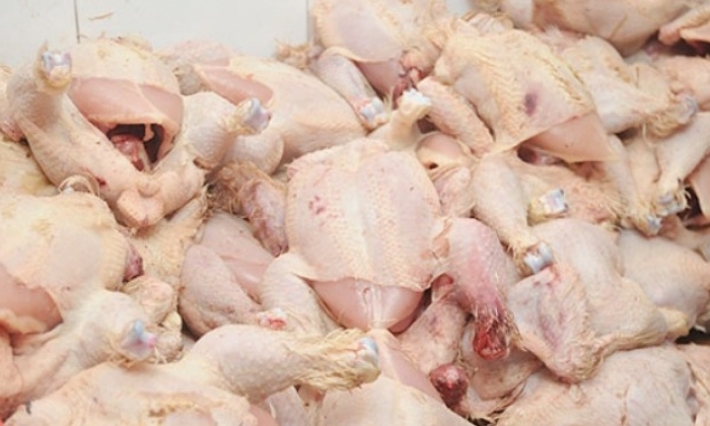  الكشف عن مستودع عشوائي لذبح الدواجن ببني خيار وحجز طن من اللحوم غير صالحة للاستهلاك