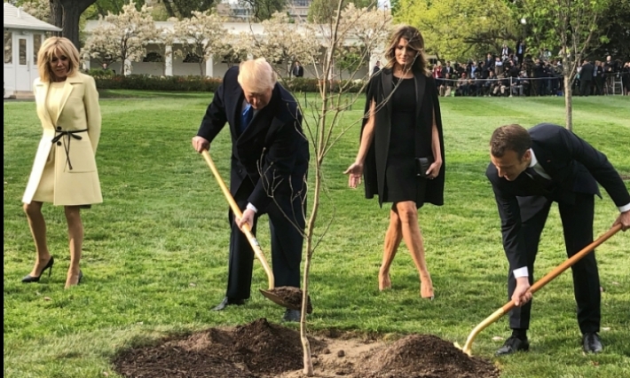 هذا ما فعله ماكرون بعد موت شجرة الصداقة بين فرنسا وأمريكا