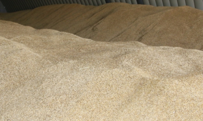 حوالي  2.5مليون قنطار من الحبوب موجودة في العراء ووزير الفلاحة يقر إجراءات عاجلة