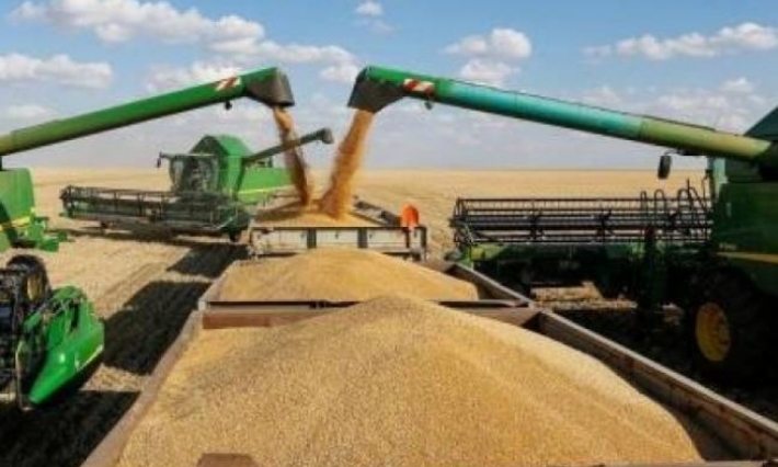 ناقلو الحبوب يعتبرون قرار تحديد الحمولة القصوى بـ22 طنا غير مجز 