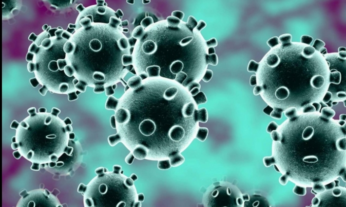 المدير الجهوي للصحة بسوسة: وسائل الوقاية من كورونا متوفّرة