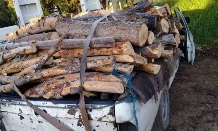 الكاف-جبل السيف: إيقاف شاحنة محملة بالأخشاب والعثور على مبلغ مالي داخلها