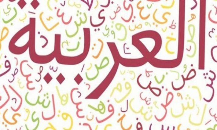 الدورة 26 لبرنامج تعليم اللغة العربية لفائدة أبناء التونسيين بالخارج تنطلق يوم 15 جويلية المقبل بكافة الولايات