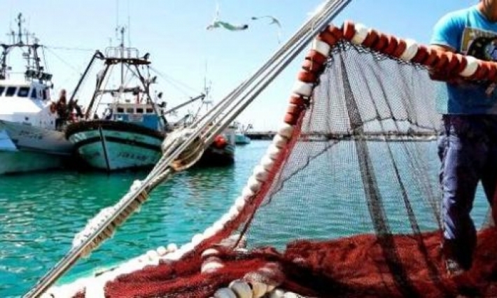 انتخابات 2019: إيقاف نشاط الصيد البحري