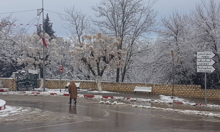 توقف الدروس غدا الجمعة بالمؤسسات التربوية في ولاية سليانة جراء التقلبات المناخية