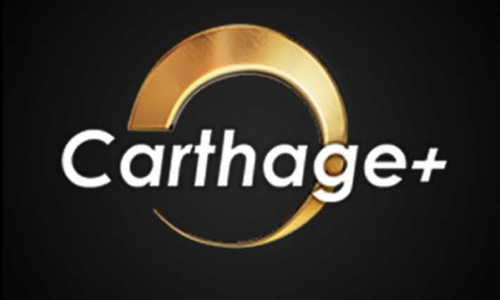 الهيئة العليا للاتصال السمعي والبصري تغرّم قناة ''قرطاج+'' 