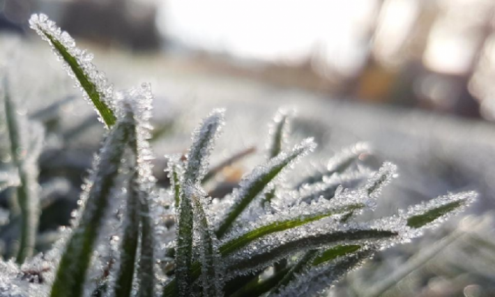 نزول جمرة الماء والرصد الجوي يحذر من الضباب 