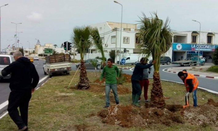 "اقتلاع أشجار الزينة بعد القمة": وزارة الشؤون المحلية والبيئة توضّح