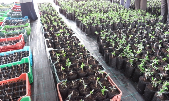 كاتب الدولة للموارد المائية يعاين الموقع المخصص لتنفيذ المشروع الفلاحي الأول من نوعه في صحراء تطاوين