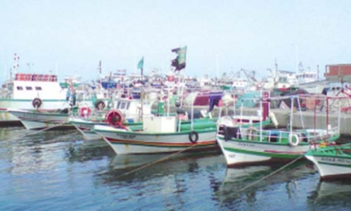 وزارة الفلاحة: تم وضع برنامج لإعادة هيكلة مصائد الشرافي